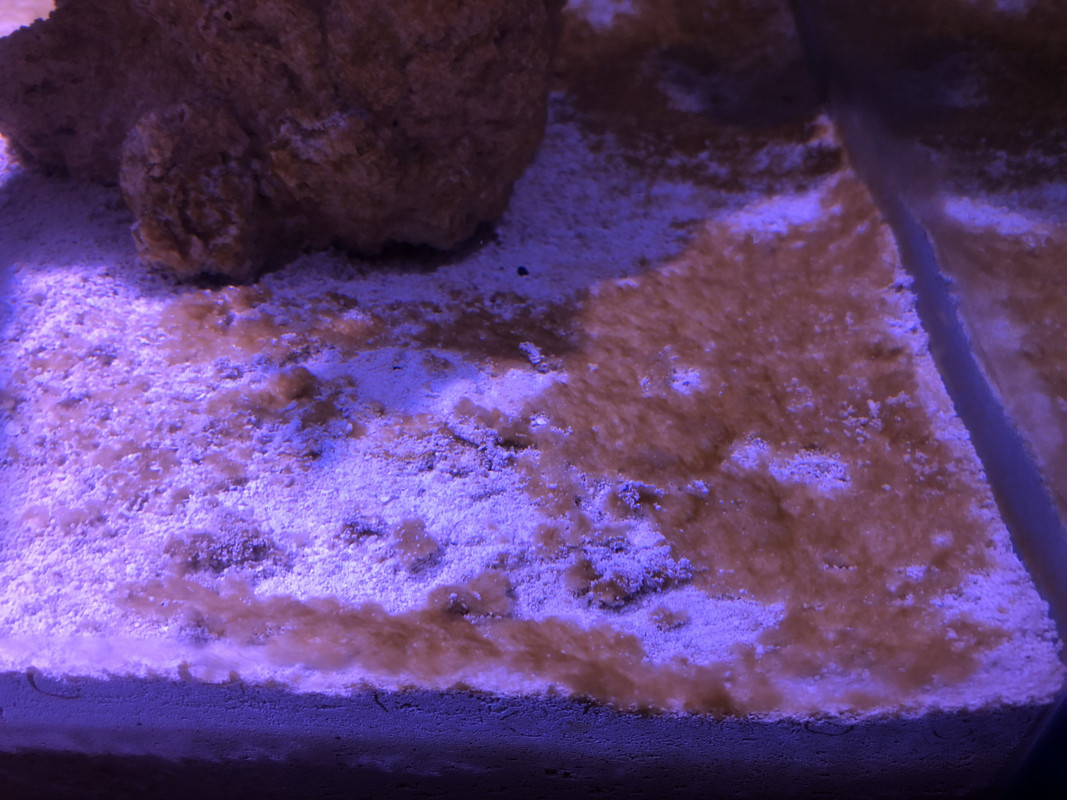 8AE208B8-33C2-4A1F-A32A-D5FE277F6630