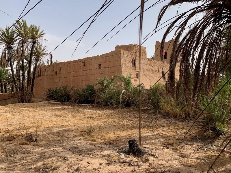 Gulimime y el oasis de Tighmert - Sur de Marruecos: oasis, touaregs y herencia española (13)