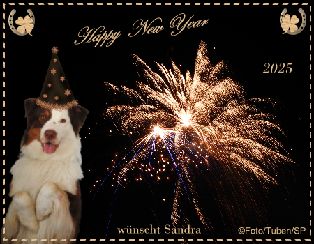 An den Beitrag angehängtes Bild: https://i.postimg.cc/SKqh5XWB/hny25.png