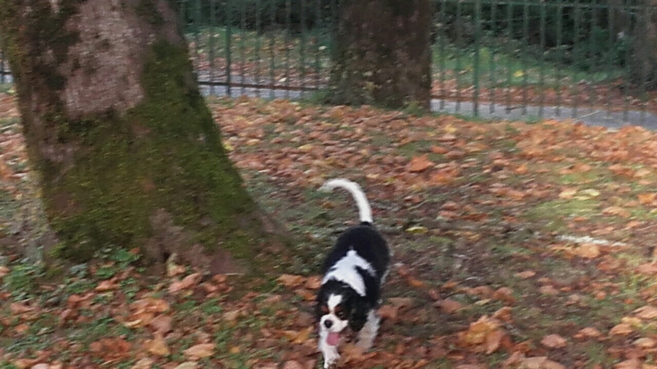 68425712-7162-4BD9-B899-8FE262B0D6A6