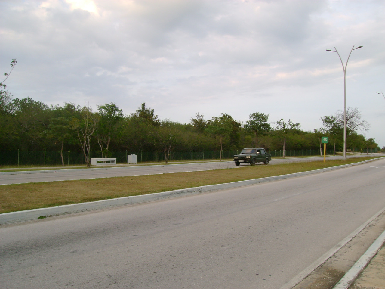 DSC07005