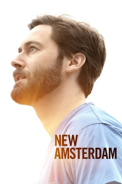 New Amsterdam 2018 S03E09 720p HEVC x265