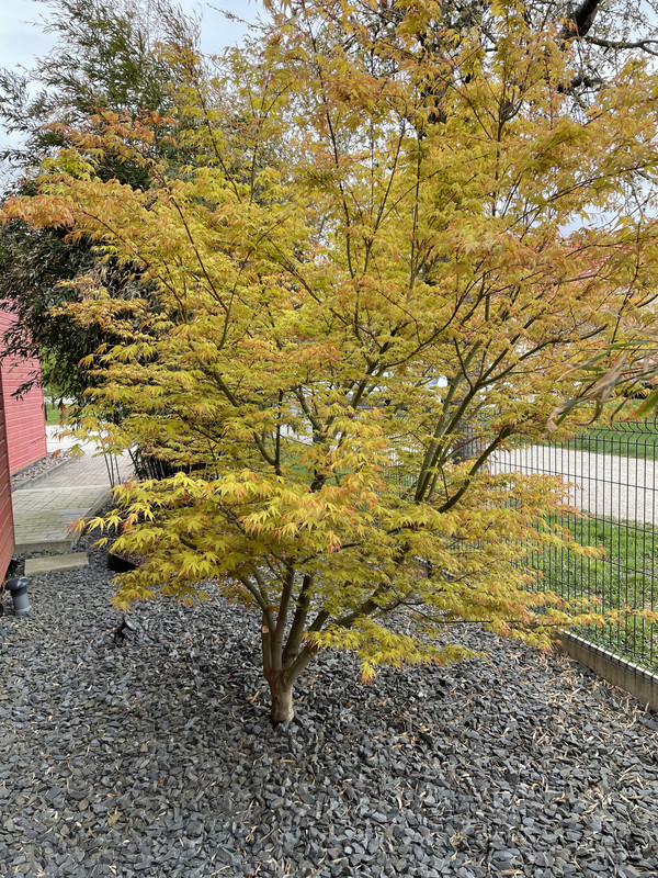 E3DC3642-5BEA-4D85-BA22-A667EB8D9311