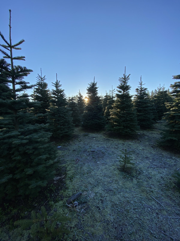 0-A6-BEEB4-A64-D-4-F7-F-9150-55502-E7-DE8-C1.jpg