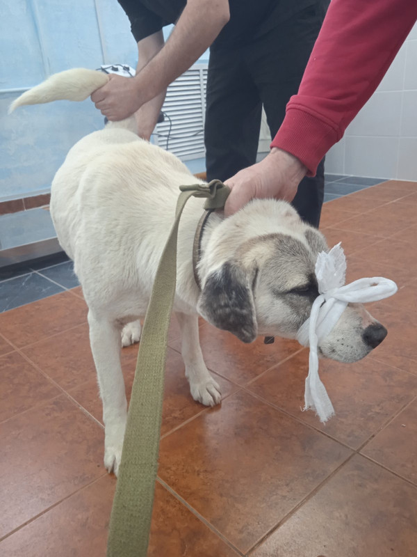 IMG-2c24ec6e002969f59b3c04bca137a5a1-V