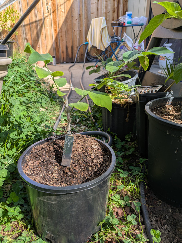 PXL_20250907_223708504