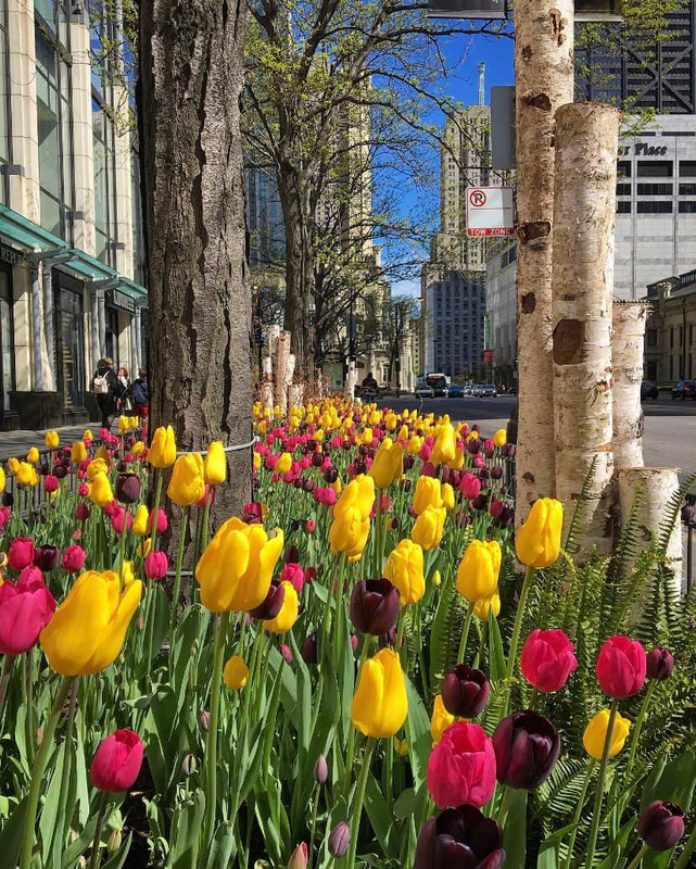 276146572-3127001584189354-6235006064268091792-n