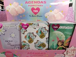 AGENDAS PERPETUAS TU EXITO DIARIO, 24 MODELOS