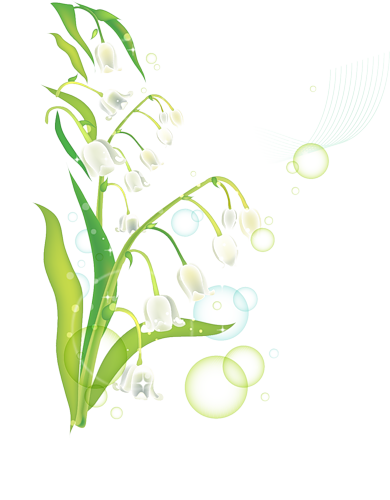 cicek-kenar-susleri-png-resimleri-13.png
