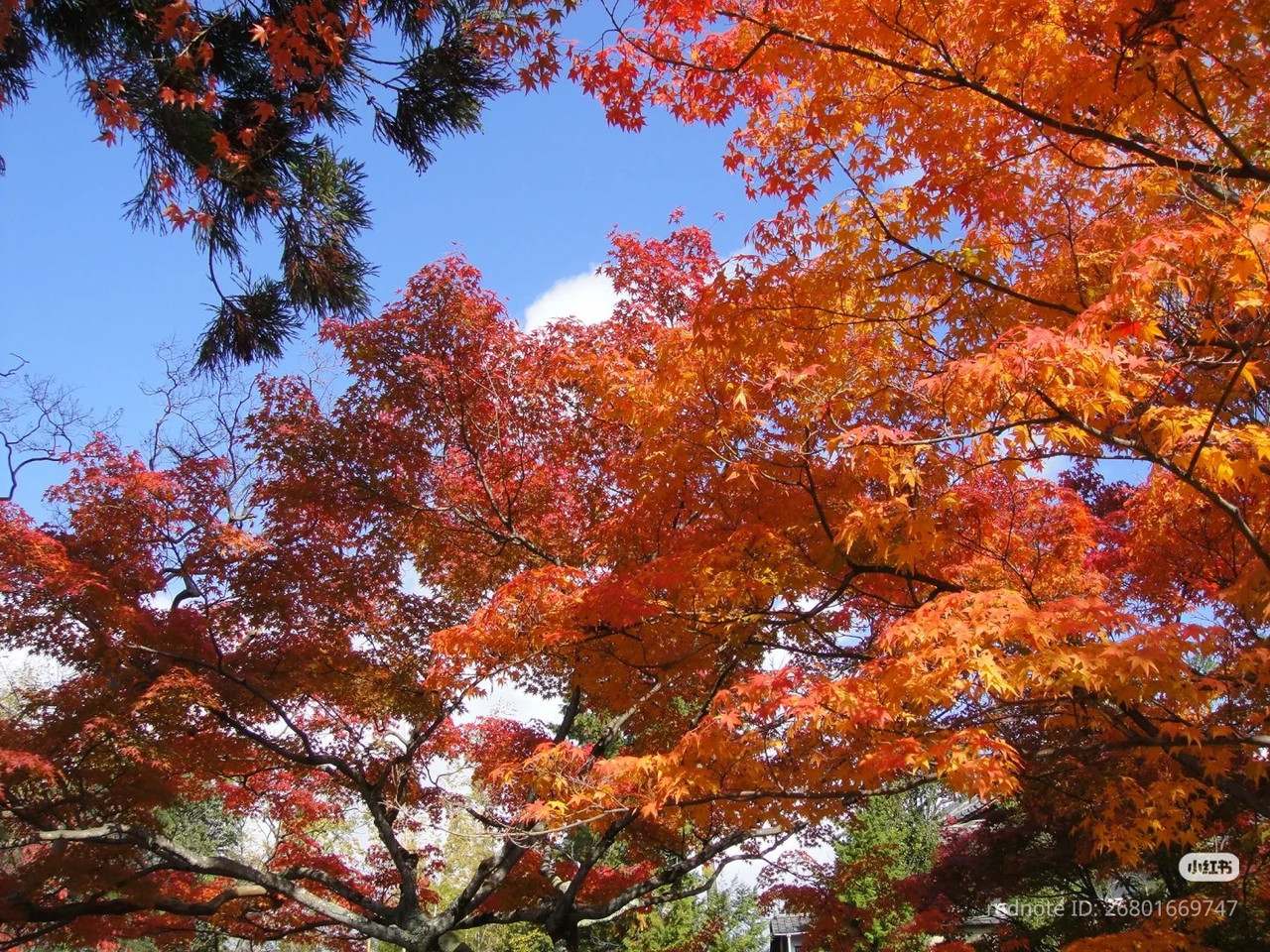 photo 18 2025 12 14 22 29 25