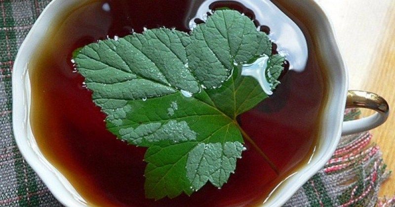 Простой рецепт чая из смородины с имбирем и медом
