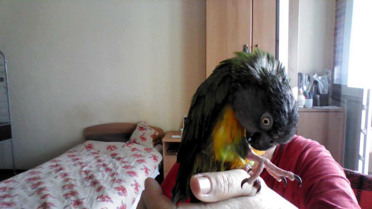 WIN_20180505_08_00_55_Pro