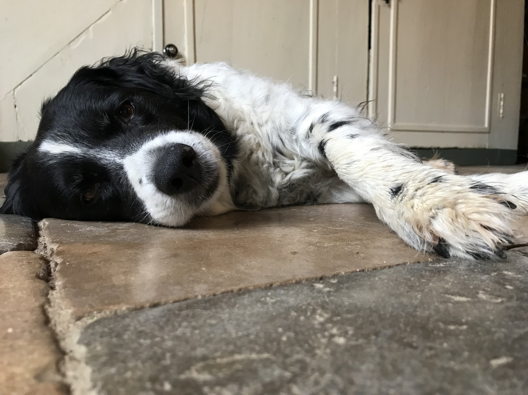 87AA83BB-EBA2-4A3A-9238-7FFDAECC642A