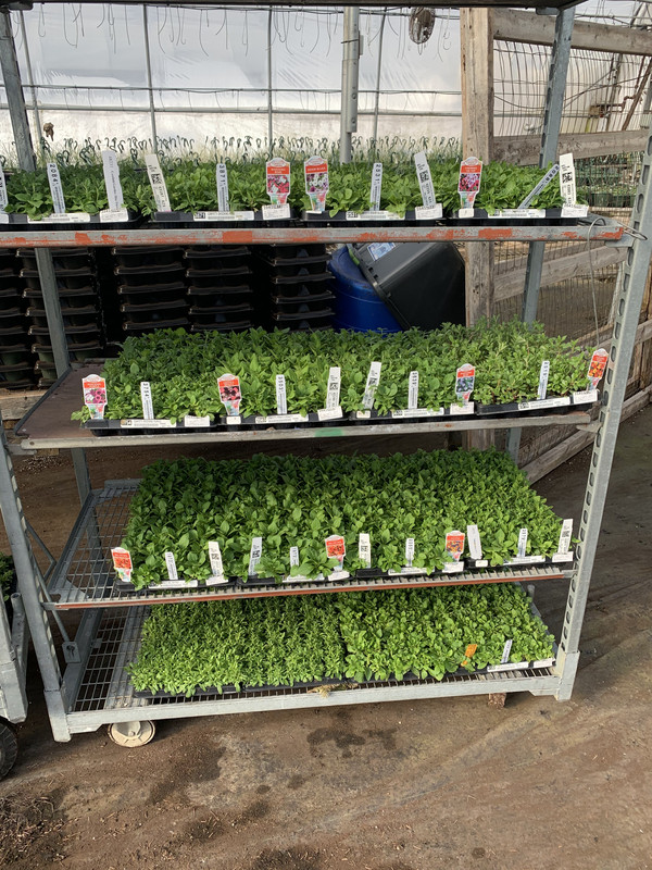 E0CC3B1A-BEA7-4DD2-9A3B-6575E25686F8