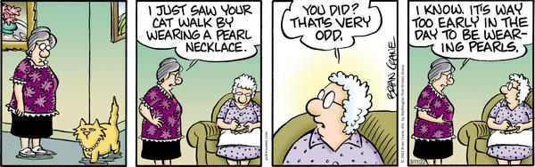 Pickles-cat-wears-collar.jpg