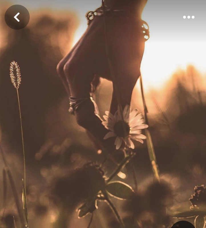 Screenshot_20240320_225221_Pinterest