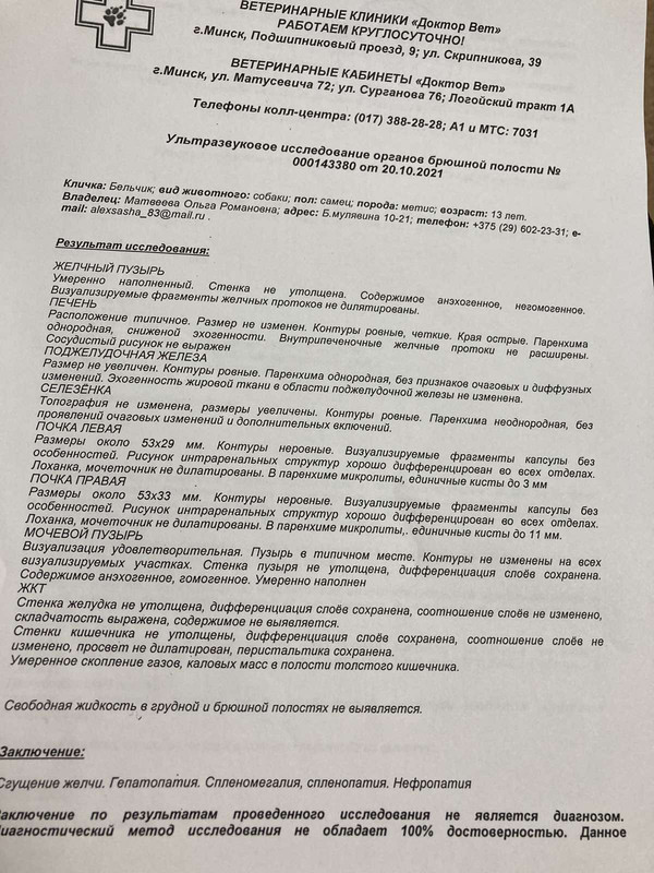 изображение_viber_2021-10-22_14-56-13-831