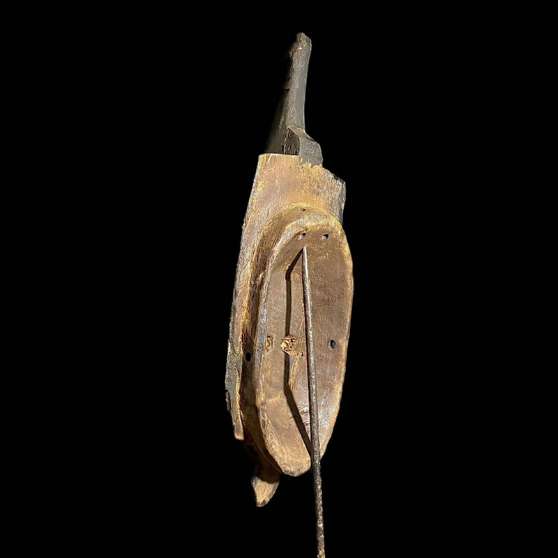 large image 10