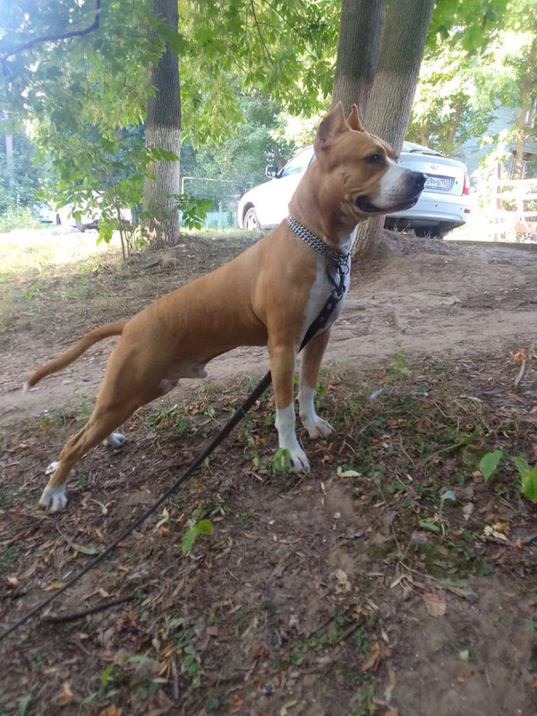 9666264C-F8AB-40FA-8DB0-5F153CF4A57E