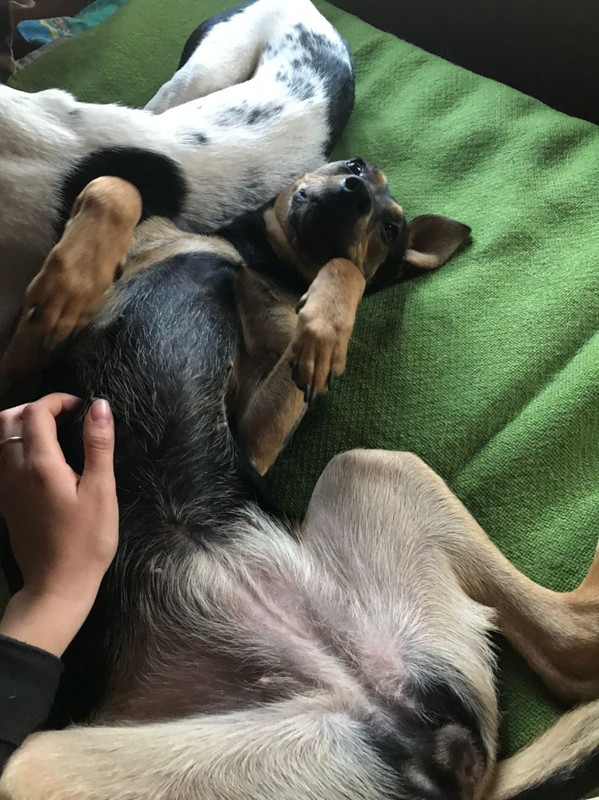 093BC28B-A993-43CF-B026-A3AF291EC78C