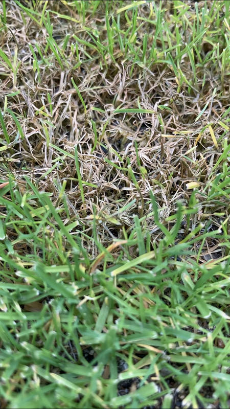 F96082CC-D756-4880-ABF7-93BAE07473E7