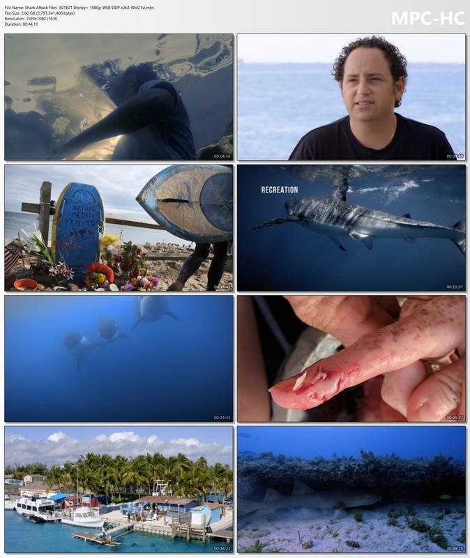 Shark Attack Files  S01E01 Disney  1080p WEB DDP x264-NM21vi.mkv_thumbs