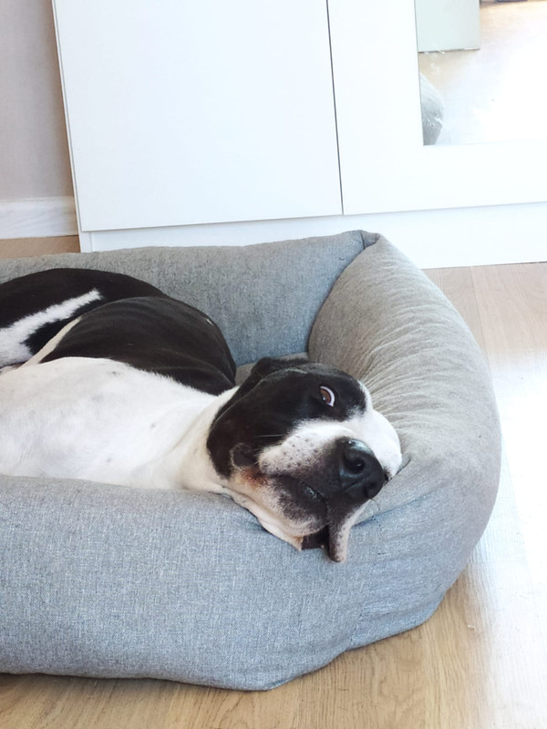 8934065F-D310-4B01-83DF-2CEF481B7474