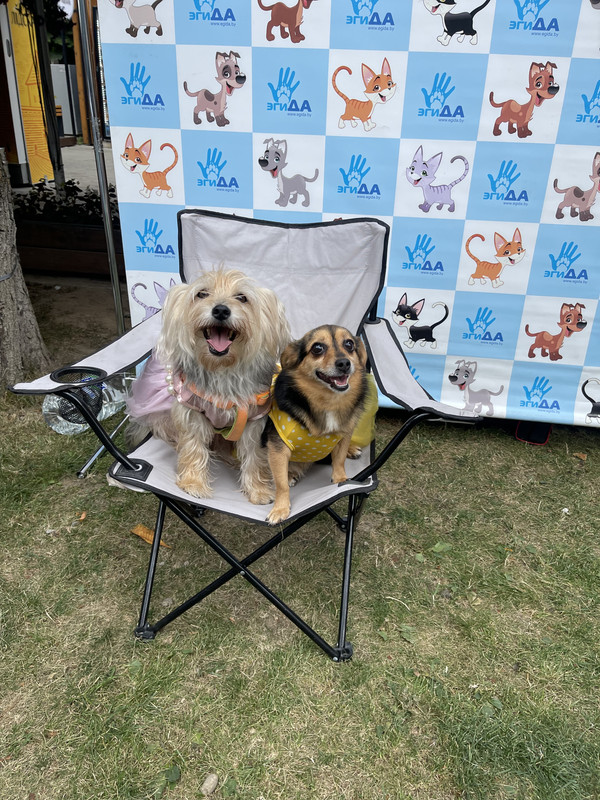 50045B94-45F0-450A-9C9D-22D4E9067ABA