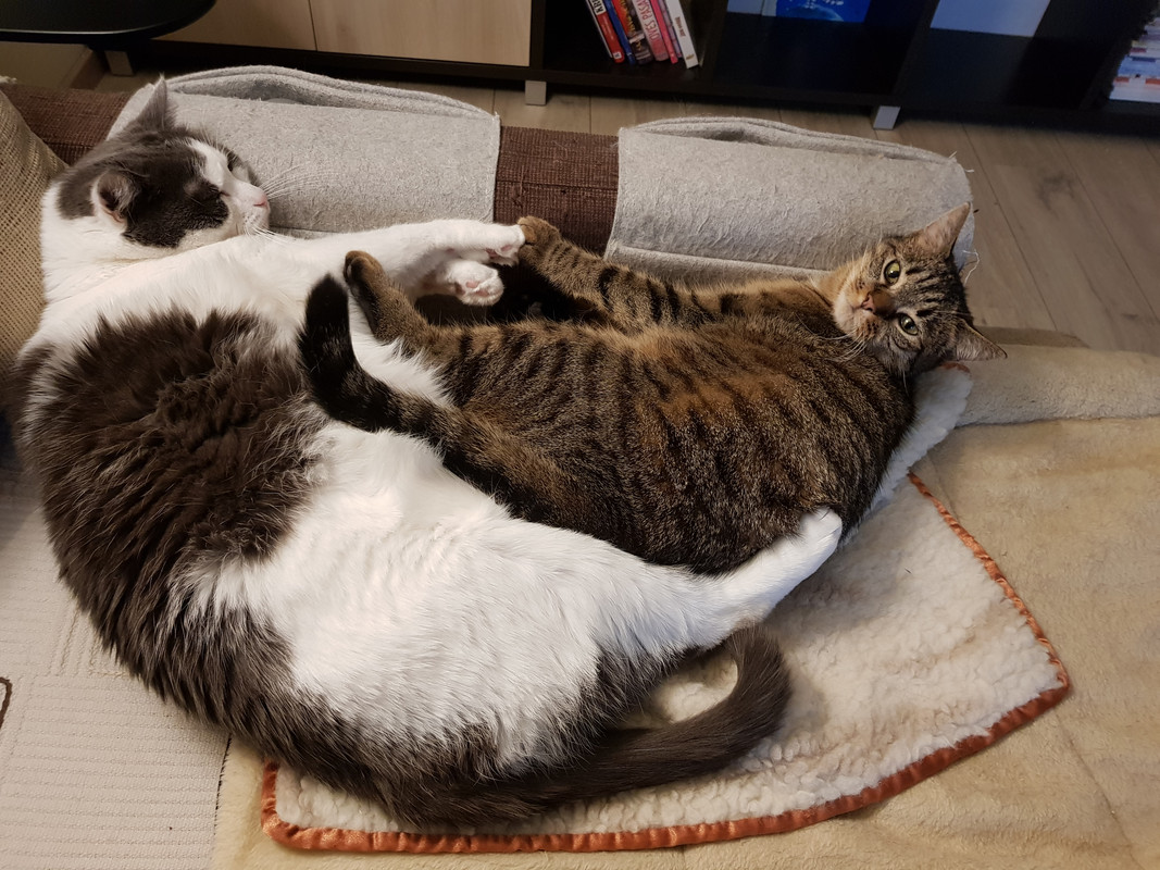20191121-144740.jpg