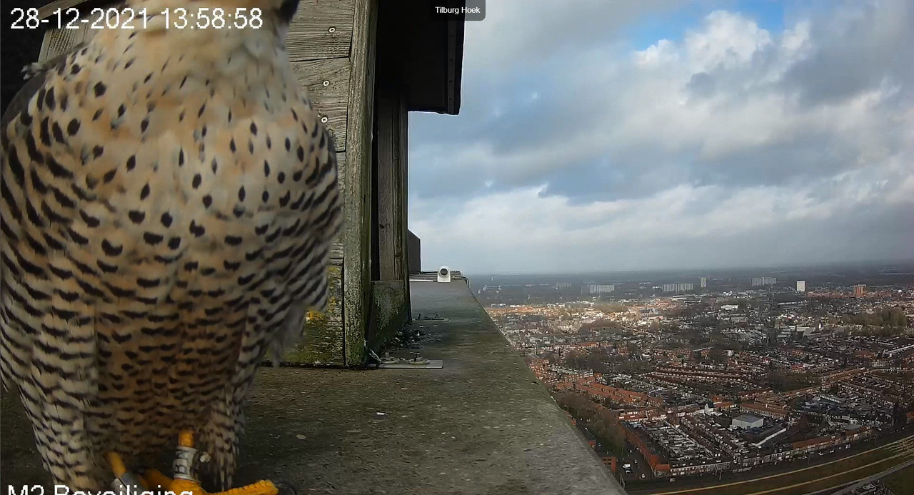 Tilburg/Westpointtoren - Pagina 2 Video-2021-12-28-135947-Moment-5