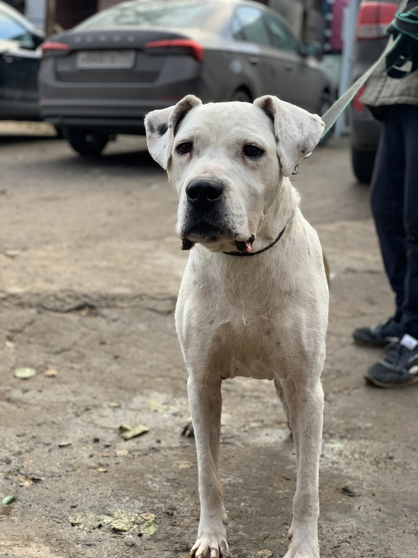 9C45BA0B-6245-49F8-9F06-05F5B4CEF199