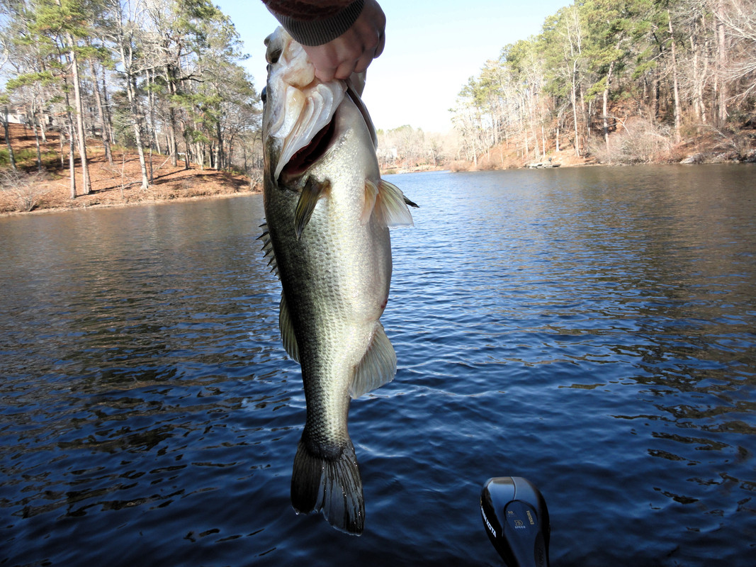 5-9-on-blade-bait2.jpg