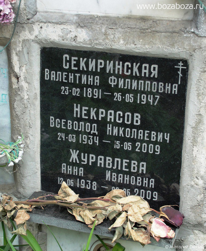 Некрасов Всеволод Николаевич, 24.03.1934-15.05.2009