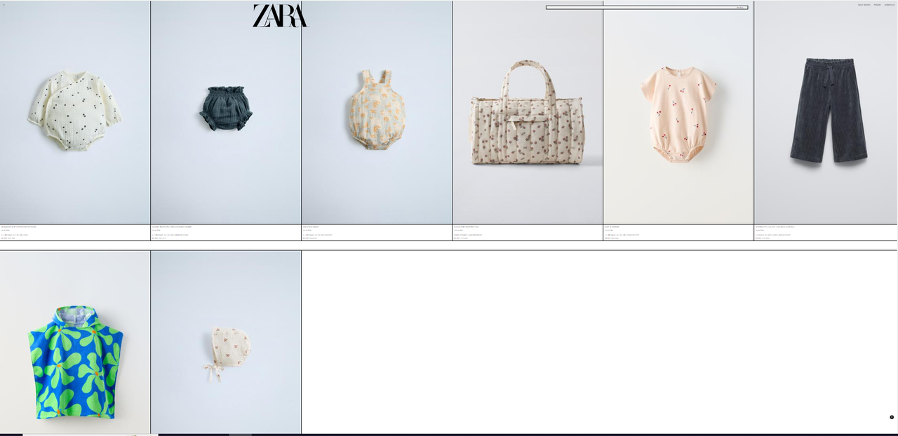 zara.png