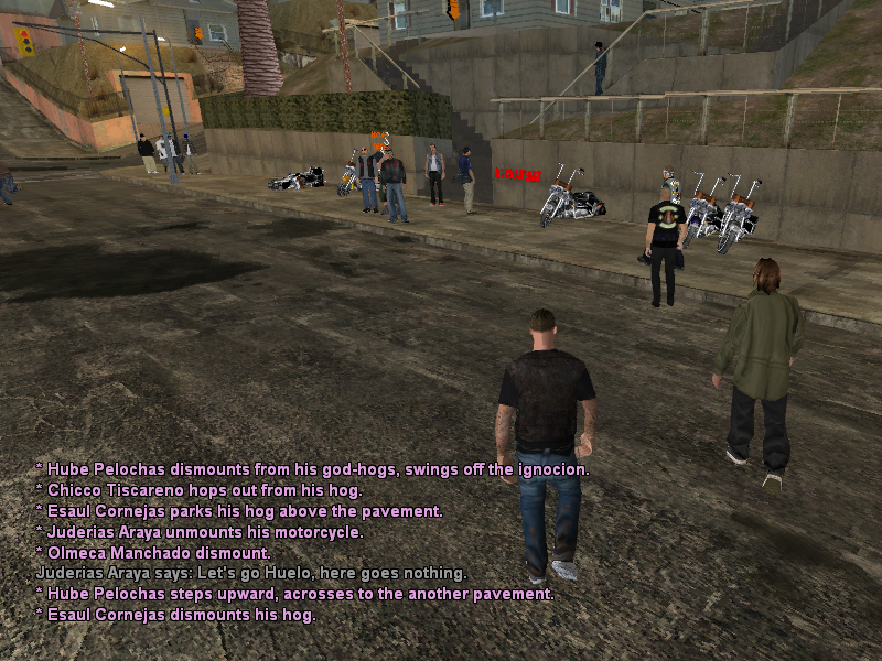 SSRoleplay311.png