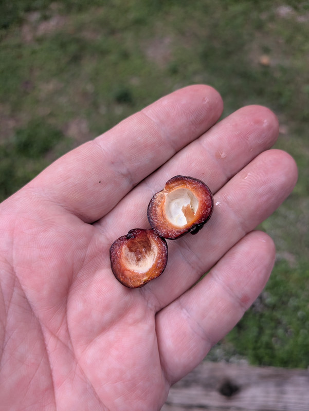 PXL_20251007_155354527