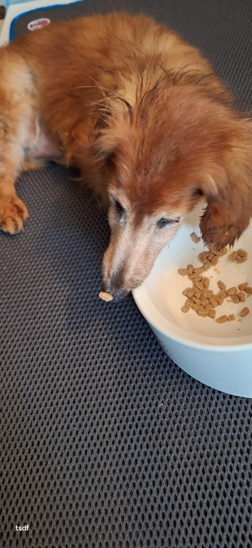 [Image: 20250606-100846.jpg]