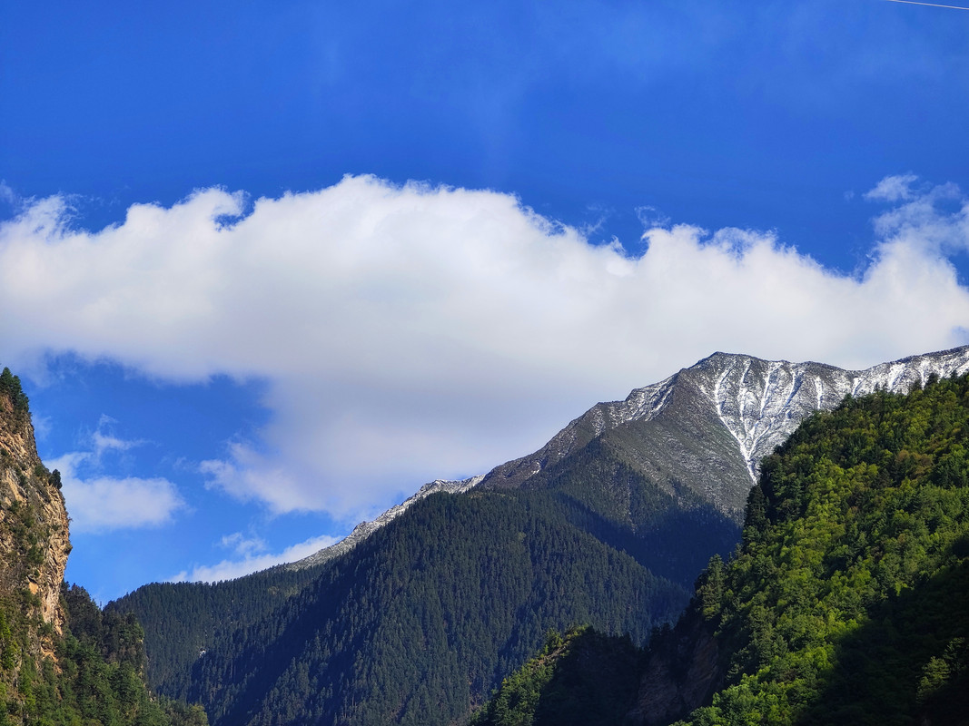 IMG_20230513_170014_副本