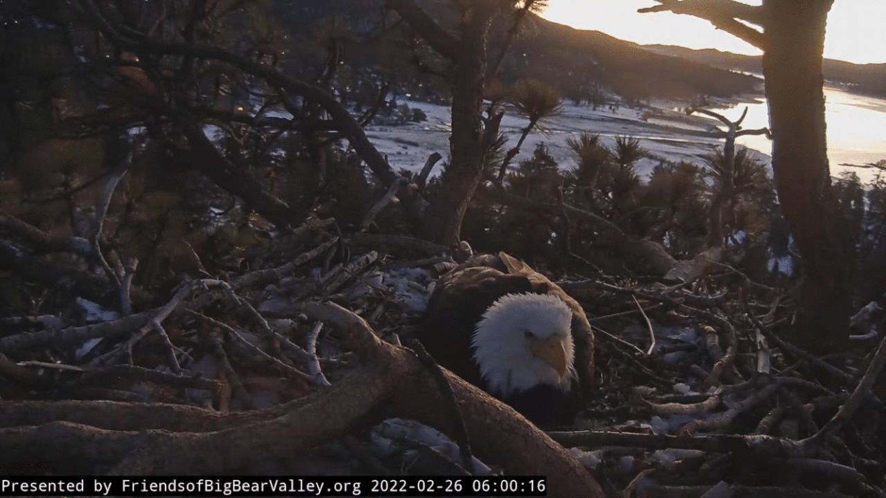 Webp.net-gifmaker (1)