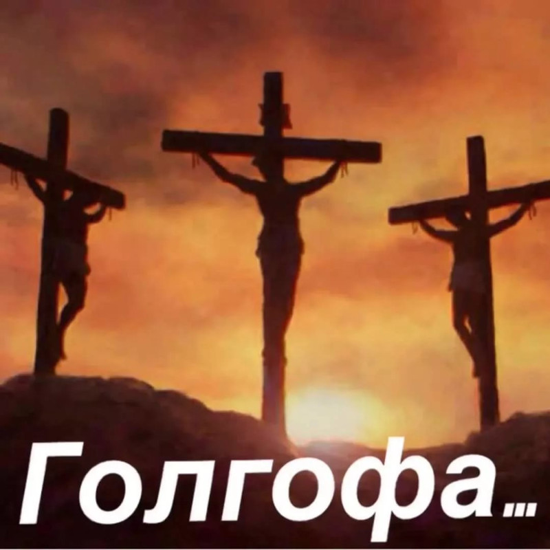 0907E0D6-DF6B-4025-831B-430E31F800D6