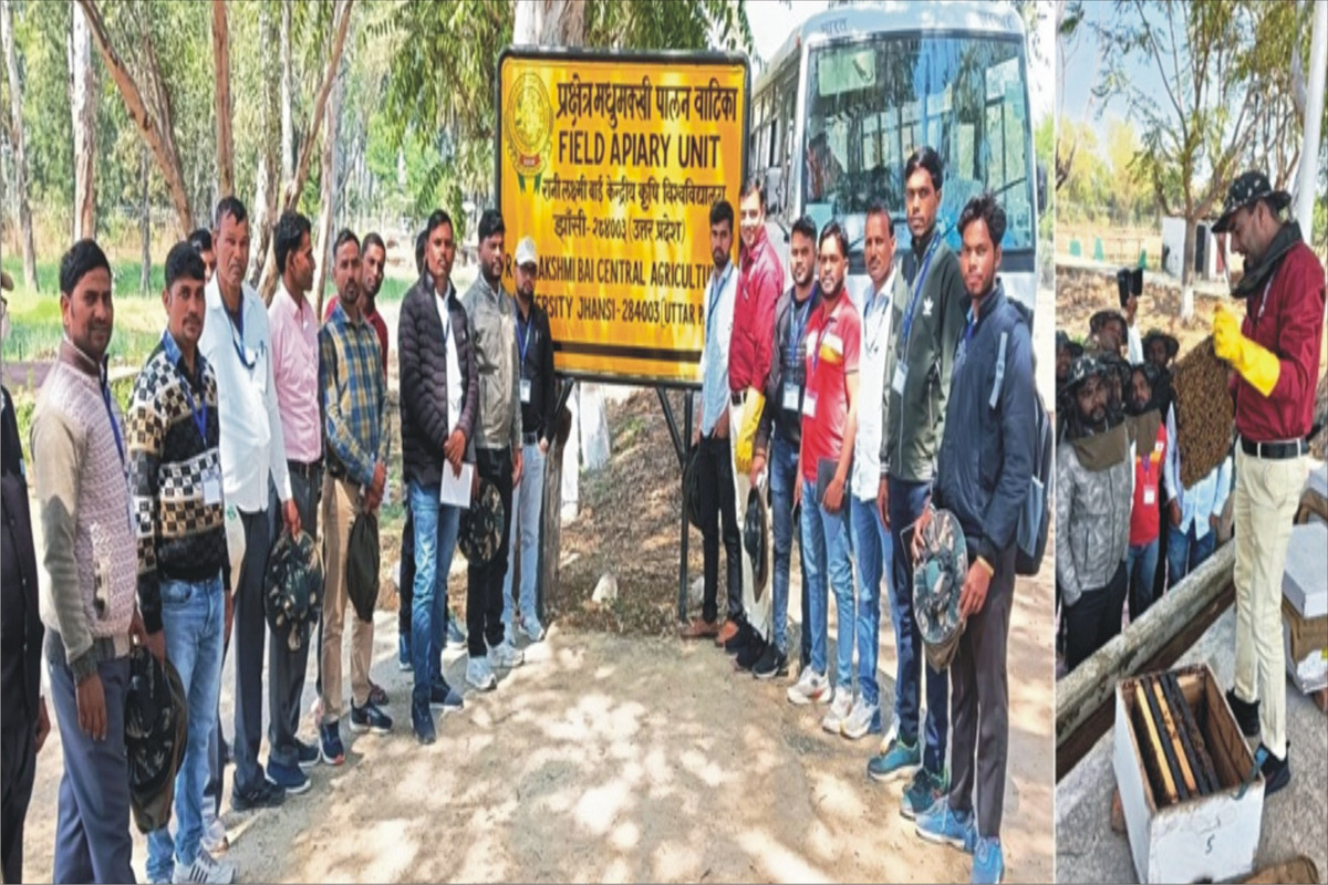 मधुमक्खी पालन कर आय बढ़ाएं किसान