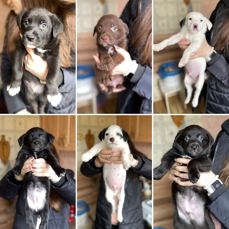 861E7C6F-29FA-4C86-8542-F8B7E8C809B3