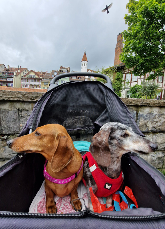 [Image: 20240622-115136.jpg]