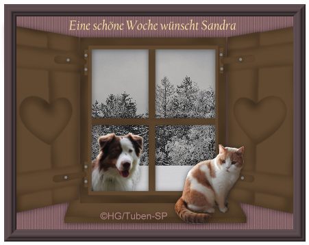 An den Beitrag angehängtes Bild: https://i.postimg.cc/SKxDrQWW/gbls3j.png