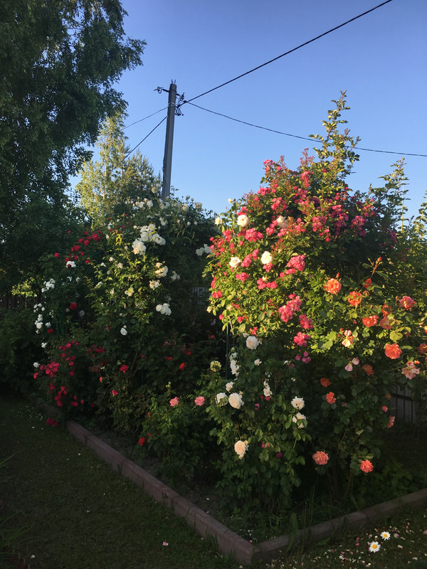 63916D30-13C5-42CD-972A-7784512D63FB