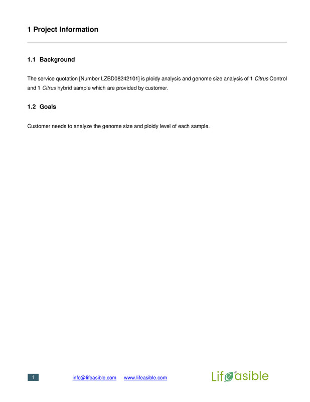 Report-2