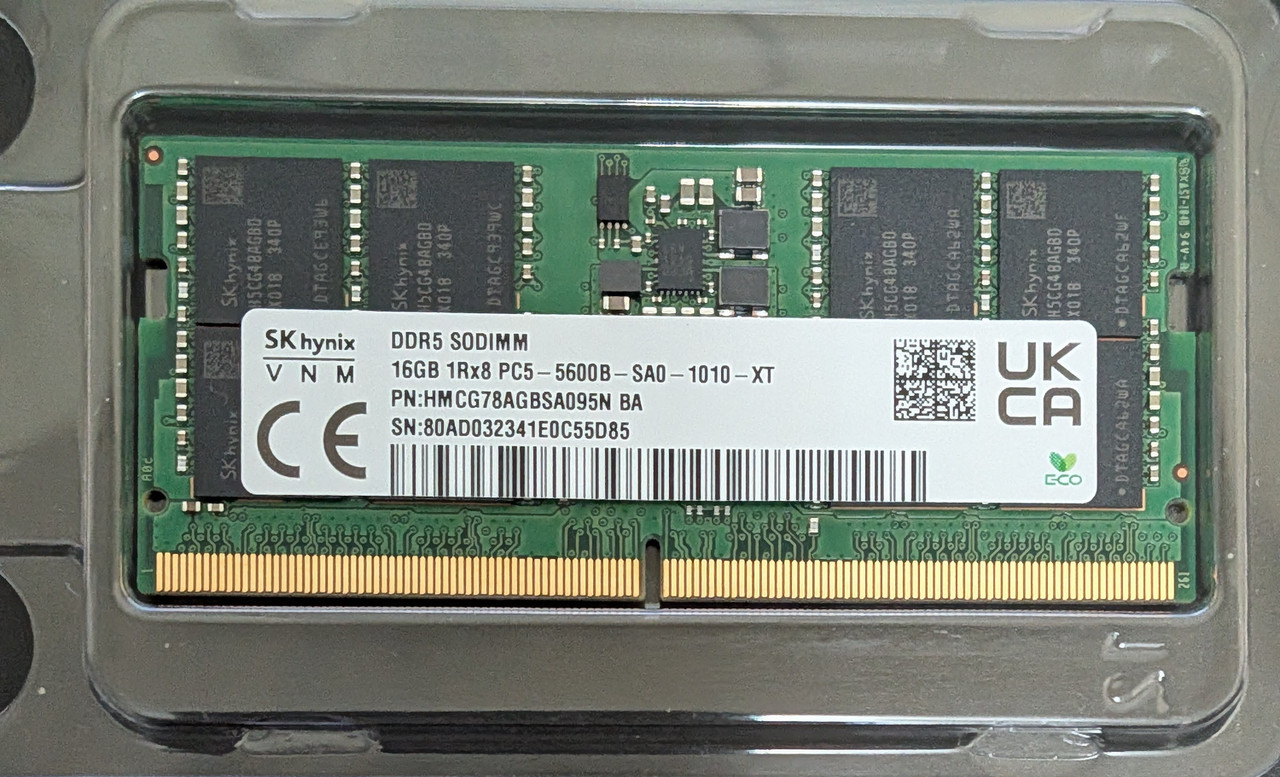 PXL 20260117 093328769