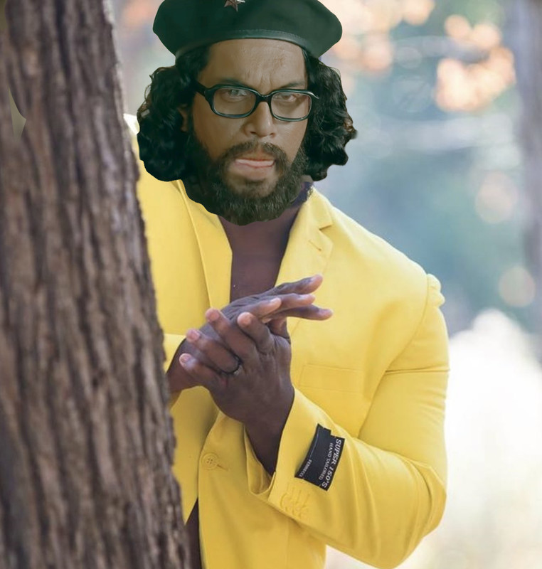 wijeweer.jpg