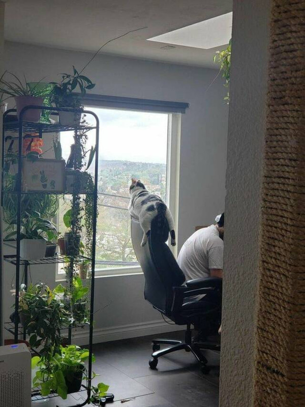 picdump-kw34-2023-041.jpg