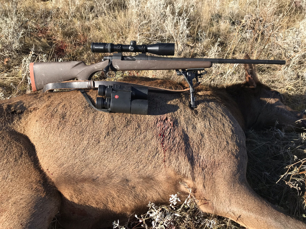 17DCAD4A-E805-40C4-AF2E-3E6CE7E69E38